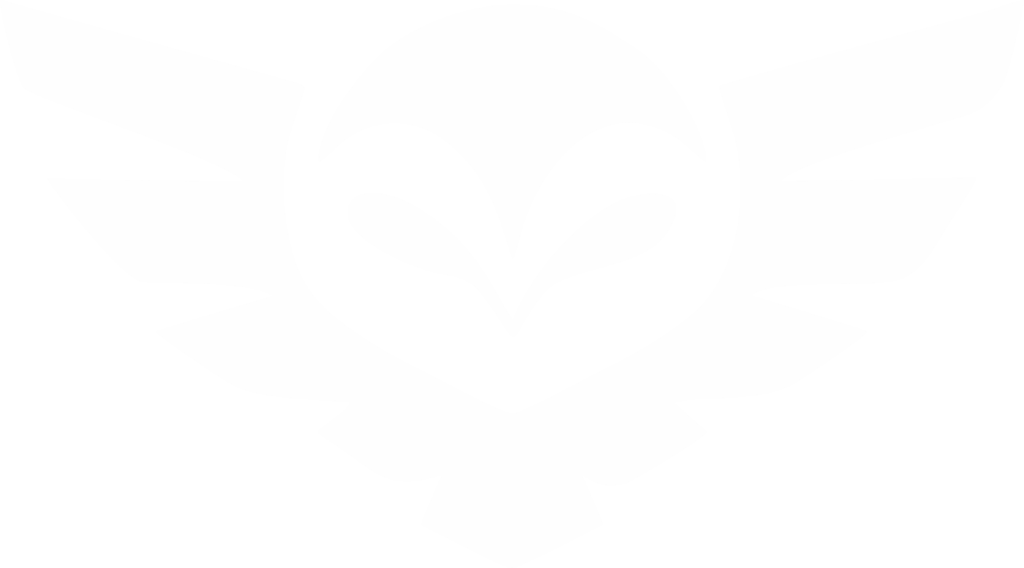 Logo Ludus Vision
